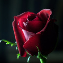 inspirationsfanstasmes85 avatar