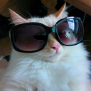 inspirationspook avatar