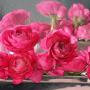 inspired-by-others avatar