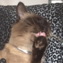 inspiredyettired avatar