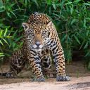 instantbelievertyrant-blog avatar