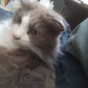 instantbreadnightmare avatar