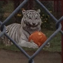 instantdeprication avatar