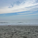 instanteggsknightcreator avatar