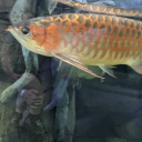 instantergratification avatar