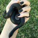 instantlyandrogynouscupcake avatar