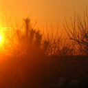 instantpresent-momentephemere avatar