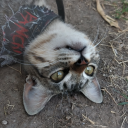 instantshepherdpruneplaid avatar