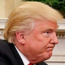 insufferable-yank avatar