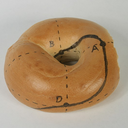 intellectual-bagel avatar
