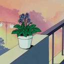 intellectualitea avatar