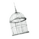 intelligentias avatar