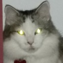 intense-glaring avatar