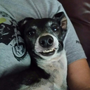 interceptor46 avatar