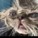 interestinghuman117 avatar