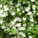 interestingpictures avatar