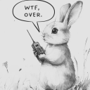 interestingtimesss avatar