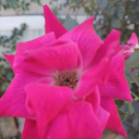 interestingtoo avatar