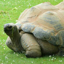 interestingukplaces-blog avatar