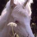 intergalactic-grime avatar