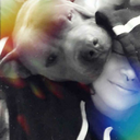 intergalacticfuckupsquad avatar