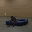 intergalacticskrrt avatar