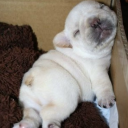 interlude1915 avatar