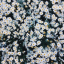 internal-afflictions avatar