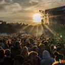 internet-addictt avatar