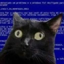 internet-fjolleri avatar