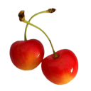 internetbedroom avatar