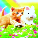 internetpet01 avatar