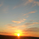 internettings avatar