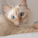 interruptedgirlz1999 avatar