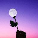 interstaellars avatar