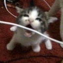 interstellar-1rat avatar