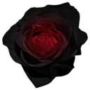 interstellar-jpeg avatar