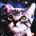 interstellararkitten avatar