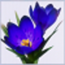 inthelionsdenonda avatar