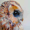 inthewaningmoonlight avatar