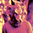 inthewolf555 avatar