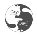 into-the-airwaves avatar