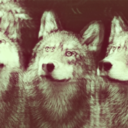 intomyinfinity-blog avatar