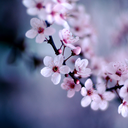 intothehighestinfinity avatar