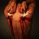 intrepid-hallucinations-blog avatar