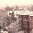 intrepidcrow-girl avatar