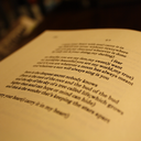 intrepidgirlreader avatar