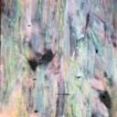 intrepidimpala avatar