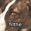 intrepidradish avatar