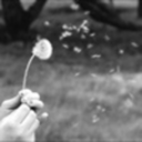 introspective avatar